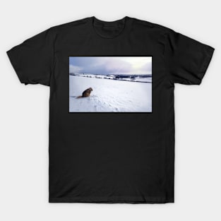 Snow covered Spinone view T-Shirt